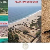 Piden a Murat detener complejo inmobiliario que pone en riesgo campamento tortuguero