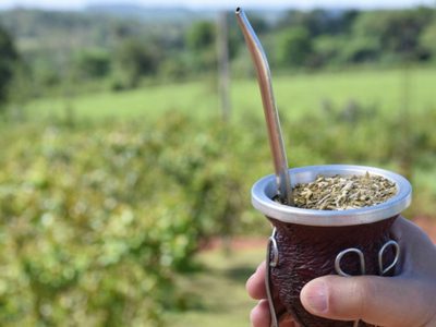 El consumo de yerba mate cayó 9 por ciento en el último año
