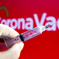 Otro logro para China: la OMS aprueba el uso de la vacuna de Sinovac