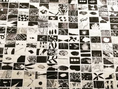 Retrospectiva de Jan Hendrix en el Museo Universitario de Arte Contemporáneo