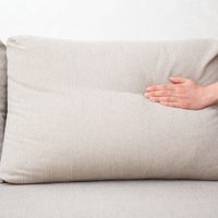 Con 4 ingredientes y este secreto de las abuelas, dejá los sillones de tu casa como nuevos