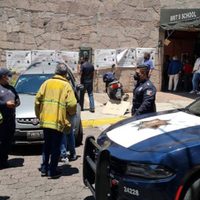Efectos de la violencia política