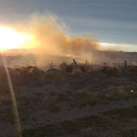 Lograron controlar el incendio en Zapala, que se originó por la caída de una línea de tensión