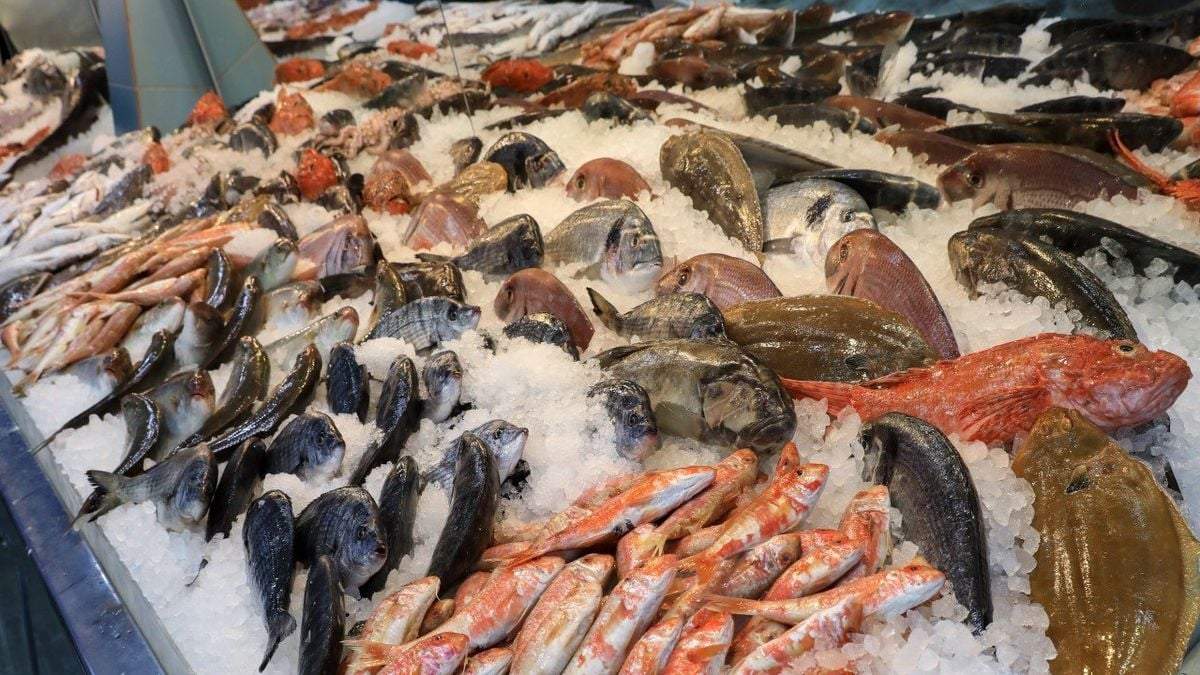 "Pescadazo" en Plaza de los Dos Congresos