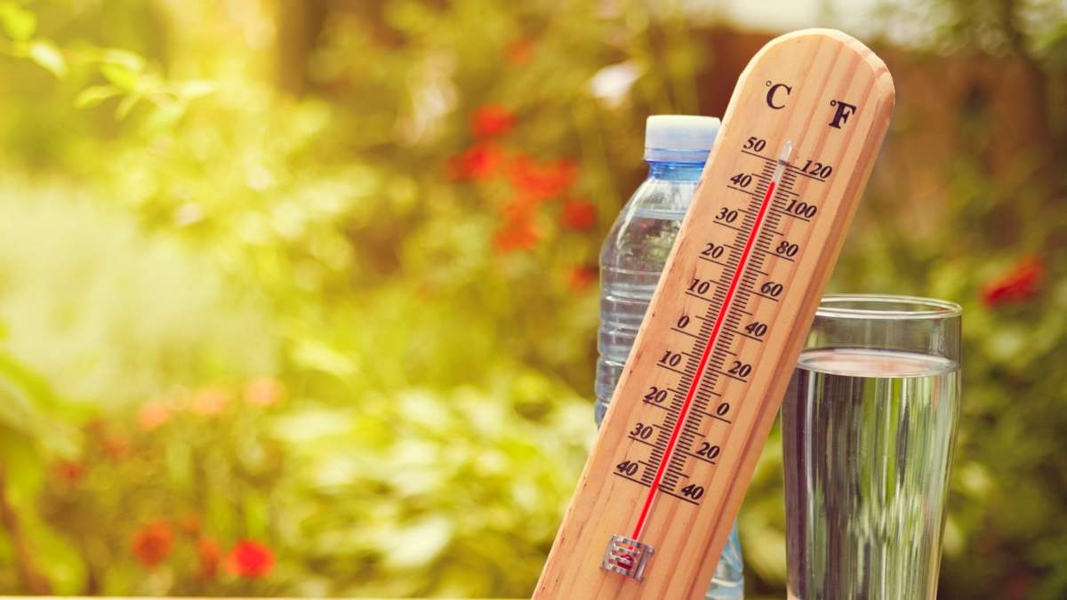 El calor y el viento marcarán el clima de hoy en Neuquén. Fuente: (Twitter)