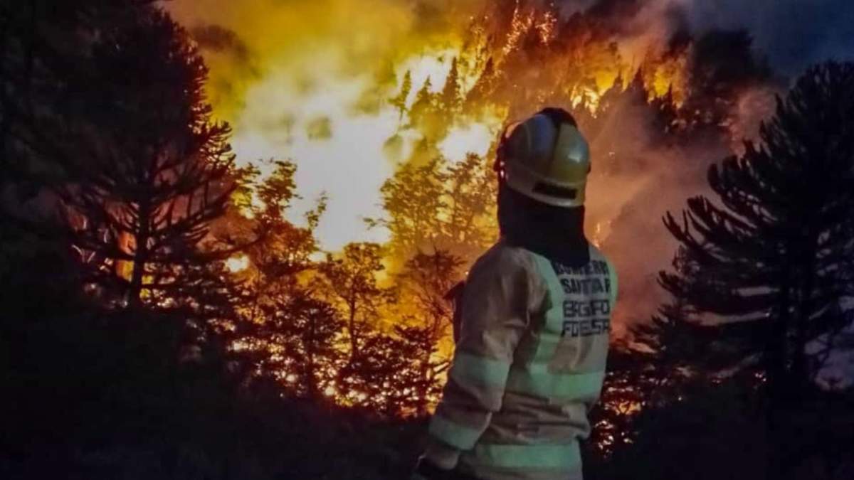 Combate contra los incendios en Neuquén