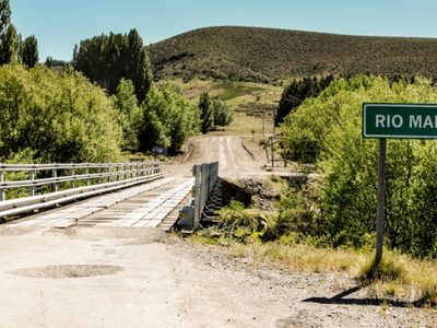 El Gobierno provincial destinará más de 2 millones de pesos a la reforestación del Paso Mamuil Malal