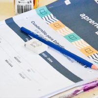 Neuquén en top 4 de bajo rendimiento en lectura: el alarmante ranking que preocupa a la comunidad educativa