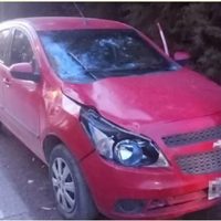 Un caballo cruzó la ruta 7 y fue embestido por un auto en inmediaciones de Vista Alegre