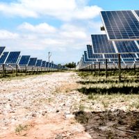 Con 2.000 paneles, en junio estaría listo el Parque solar fotovoltaico de El Alamito