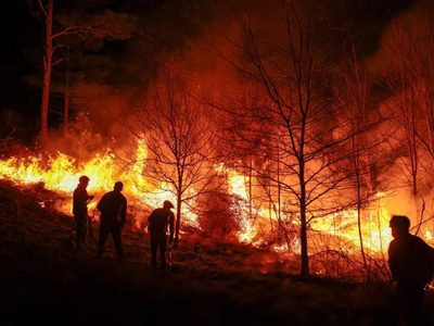 Córdoba: detuvieron a una persona que había iniciado un incendio al costado de una ruta