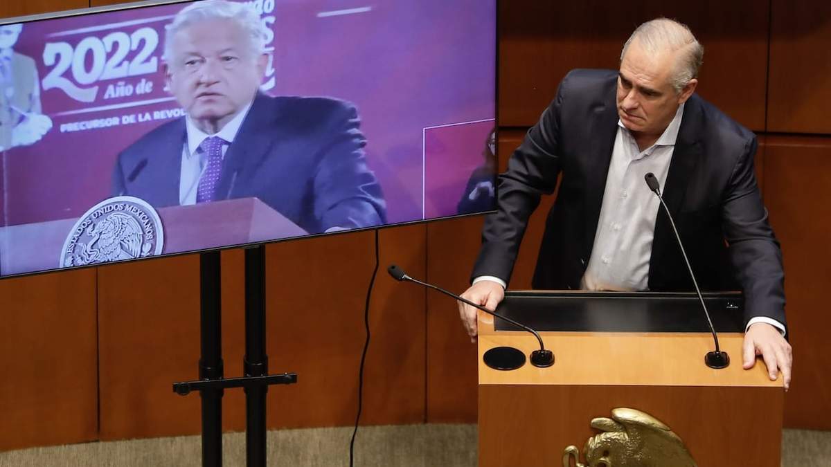 Julen Rementería, en la sesión del Senado del 6 de abril pasado