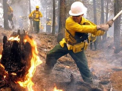 Neuquén enfrenta una compleja situación por numerosos incendios forestales simultáneos