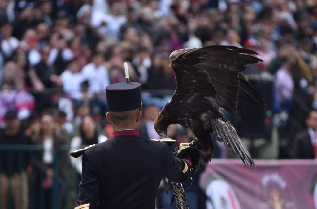 Cadetes del Heroico Colegio Militar
