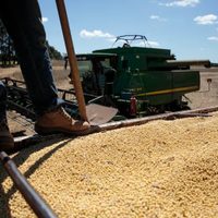 Tras la eliminación de las retenciones al campo, advierten cuáles serán las consecuencias en la economía