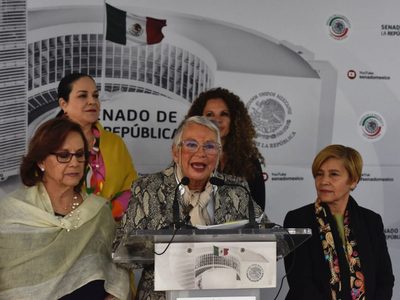 Senado avala ley que impide a deudores de pensión alimenticia tramitar pasaporte o credencial de INE