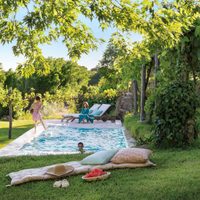 Adelantate a la primavera: 4 plantas ideales y preciosas para poner al lado de la pileta y en los caminos de tu jardín