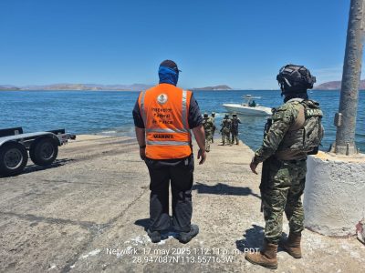 Rescatan a ballena jorobada que estaba enmallada en redes de pesca en Baja California (Video)