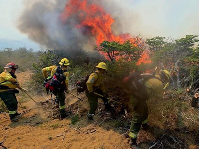 Incendios en Chubut: brigadistas de Buenos Aires hablaron sobre la compleja situación en la Patagonia
