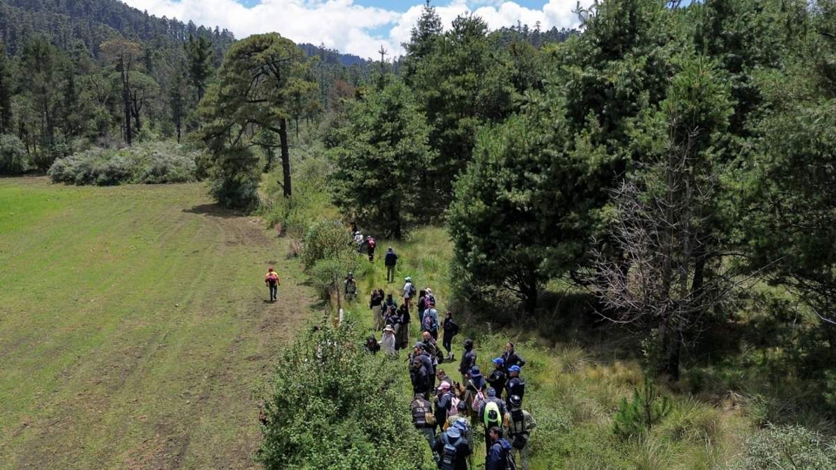 Familiares, solidarios y madres buscadoras del colectivo "Una Luz en el Camino" realizaron nuevamente otra búsqueda por el paradero de Ana Amelí García Gámez en las faldas del Pico del Águila, en el Ajusco
