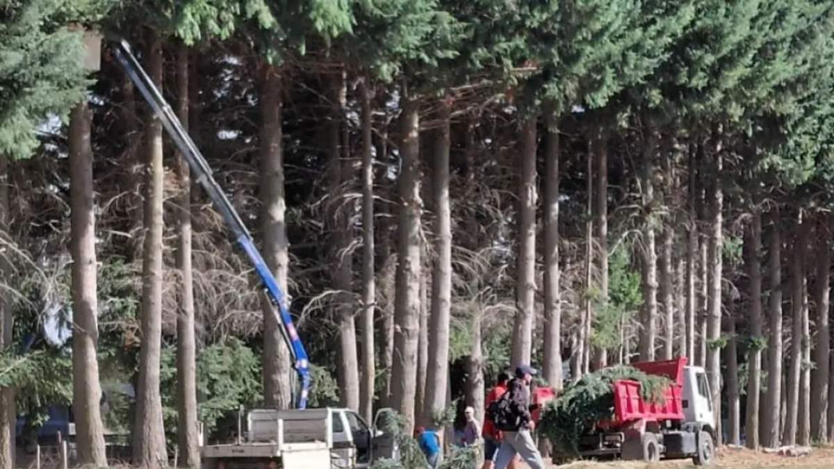 Vecinos protestaron por tareas de poda en Villa La Angostura. Fuente: (Diario Andino)