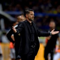 Las resistentes plantas que Fernando Gago y Verónica Laffitte eligieron para cercar la pileta de su casa en Nordelta