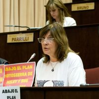 La diputada Gabriela Suppicich denunció maniobras para evitar la discusión de temas sensibles en la Legislatura de Neuquén