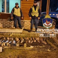 Pesca furtiva: secuestraron 30 piezas de truchas en Nahuel Huapi