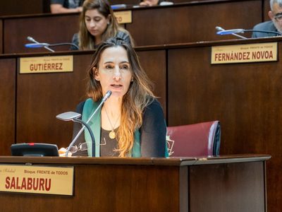 Salaburu pidió incluir proyectos al presupuesto provincial 2024 sobre prevención de violencia