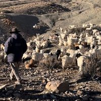 Crece apropiación ilegal de tierras por parte de terratenientes, aseguran crianceros