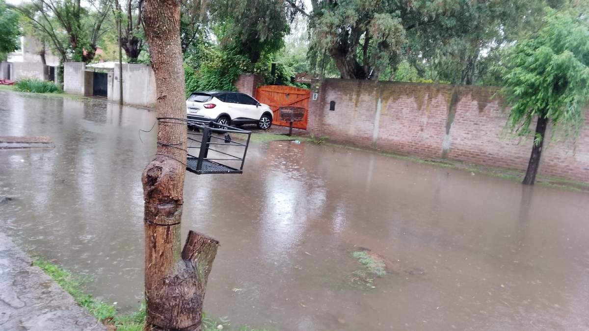 Es la segunda vez en menos de tres meses que hay inundaciones en Tigre por la crecida del río. Fuente: (Twitter)