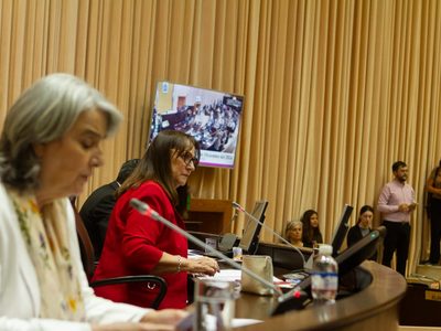 Escándalo en la legislatura: con 30 votos a favor, destituyeron a Gloria Ruiz por inhabilidad moral