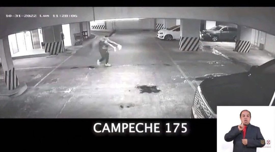 caso ariadna fernanda