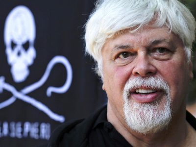 Dinamarca libera al activista contra la caza de ballenas Paul Watson y no lo extraditará a Japón