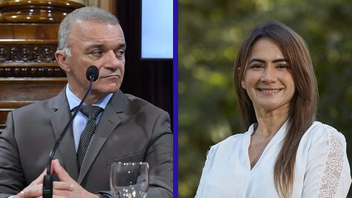 Ficha Limpia. Fuente: (X)