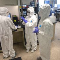 ¿Vacunas de BCG e influenza dan inmunidad contra covid-19? Mexicanos investigan