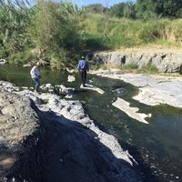 Familiares de desaparecidos exigen participar en búsqueda de restos encontrados en Marín, NL