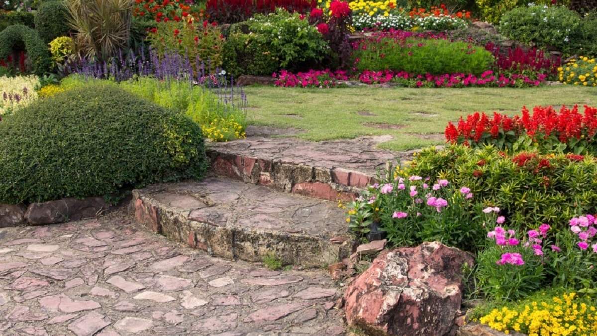 Plantas. Fuente: (X)