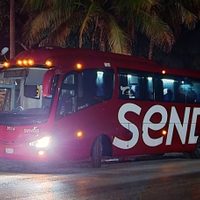 Son 30 los migrantes rescatados, corrige Vocería de Seguridad de Tamaulipas