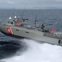 México anuncia nuevas medidas para proteger a la vaquita marina