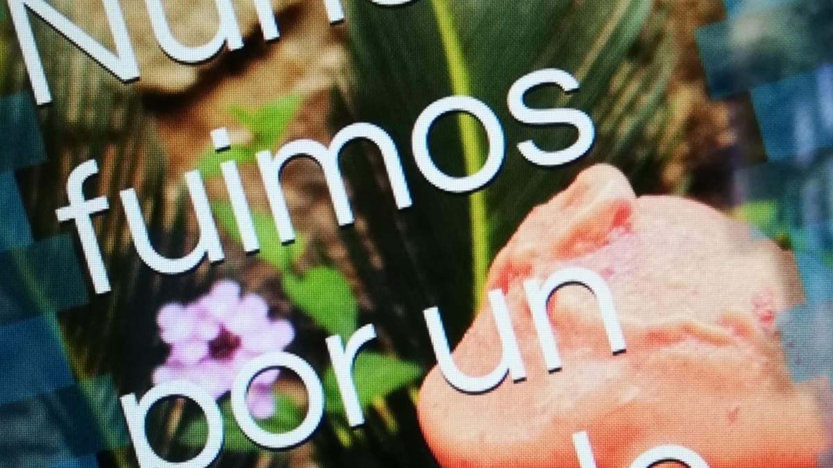 Nunca fuimos por un helado, de Zamira Bringas