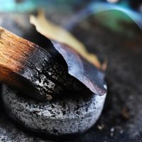 La planta "mágica" que tenés que quemar para aliviar los dolores de cabeza y limpiar la energía del hogar