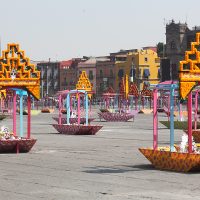 #Procesofoto, las imágenes del día