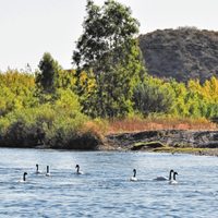 Feriado ventoso y algo nublado: así estará el clima hoy en Neuquén