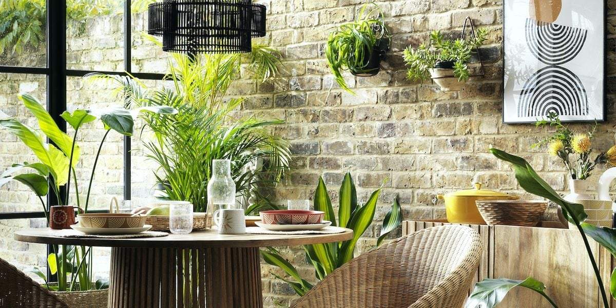 Plantas. Fuente: (Instagram)