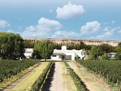 La vitivinicultura de la Patagonia llega en formato virtual