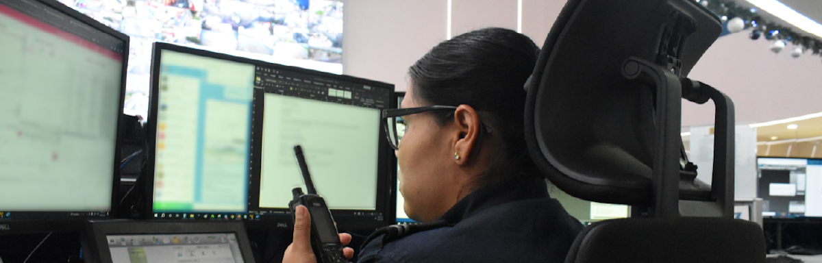 Seguridad pública. 28 compañías, una misma red receptora de recursos públicos