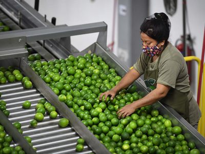 Inegi: La inflación no cede y se ubica en 7.28% anual en febrero
