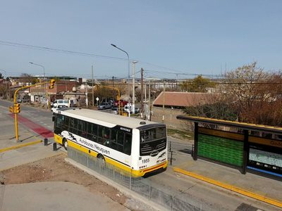 Debido a los accidentes viales, analizan modificar el Metrobús