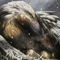Cuando los primeros dinosaurios de sangre caliente habitaban la Tierra